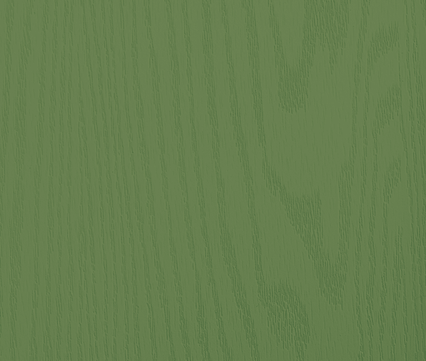 composite door colour paradise green